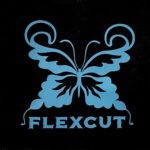 Новый вид пленки на рынке Беларуси